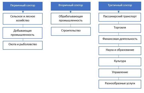 Перспективы развития отрасли и их влияние на образование и профессиональное развитие