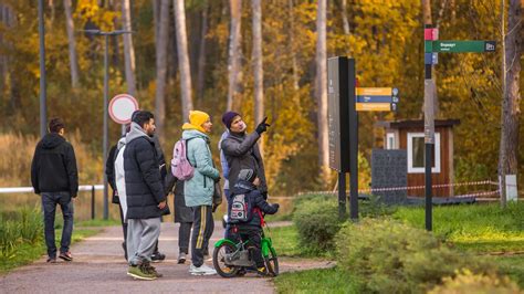 Пешие прогулки и пикник в парках и лесопарках Московской области