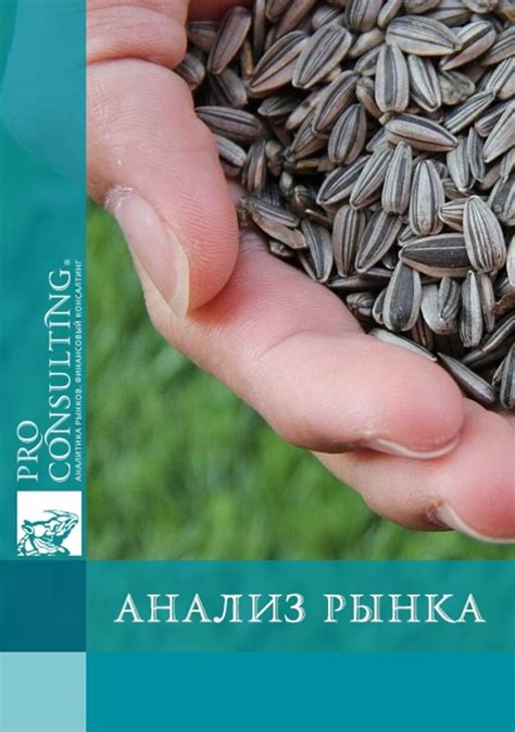 Питательная ценность семечек подсолнечника в рационе кроликов