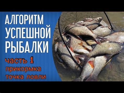 Питомники и искусственные водоемы – прибежище для успешной рыбалки