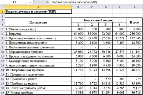 Планирование бюджета с учетом среднедушевого дохода: навык финансового планирования 