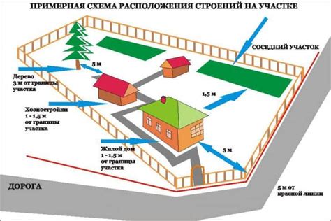 Планирование и размещение берковича на участке