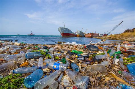 Пластик в морских просторах: глобальное загрязнение и негативное влияние