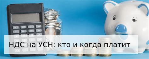 Плюсы и минусы оплаты НДС на УСН: когда сочетание режима упрощенной системы и налога на добавленную стоимость становится выгодным?