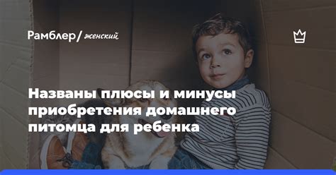 Плюсы и минусы приобретения помощника Валеры: пристальное изучение достоинств и недостатков