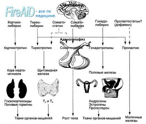 Побочные эффекты и ограничения использования: