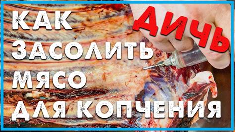 Повышение безопасности пищи: эффект предварительного варения мяса перед горячим копчением