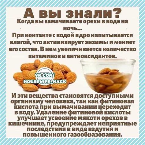 Повышение пищевой ценности грецких орехов: узнайте правильную технику замачивания