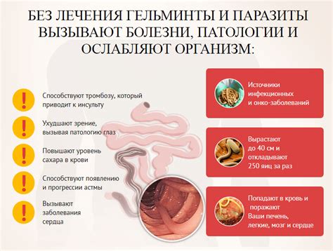 Повышенная температура и наличие глистов: признаки связи