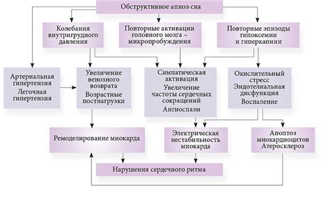 Повышенная угроза заболеваний: взаимосвязь между употреблением сахара и развитием сердечно-сосудистых патологий