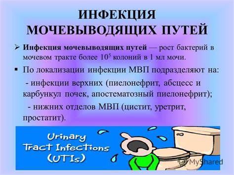 Повышенный содержание микроорганизмов в мочевом тракте как источник неприятного запаха мочи у женщин