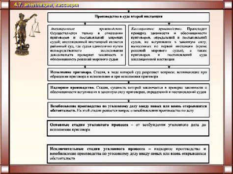 Подача апелляции и кассации: место и порядок