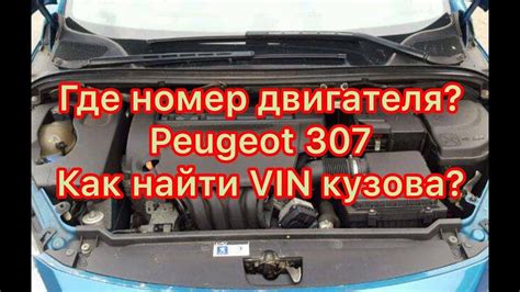 Подбираем ясень: рекомендации по поиску и определению