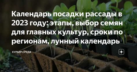 Подбор оптимального времени и температуры для приготовления шарлотки