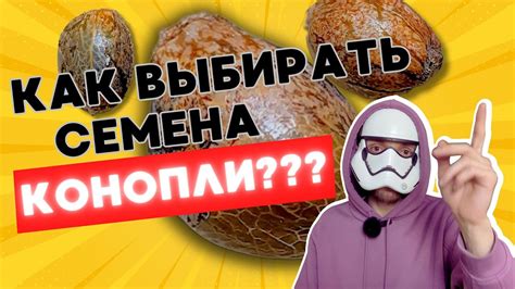 Подготовка к поступлению на факультет генетики: выбор академических предметов