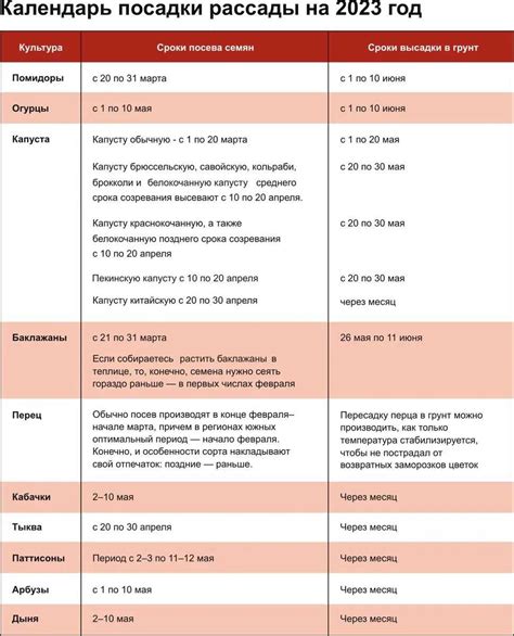 Подготовка почвы и выбор оптимального промежутка времени для выращивания