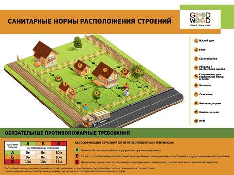 Подготовка почвы и правильное расположение для размещения акации на участке