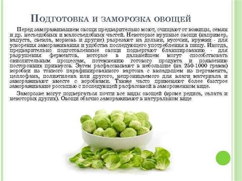 Подготовка продуктов перед замораживанием: необходимые шаги для сохранения качества