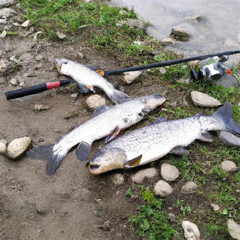 Подготовка рыболова к осенней рыбалке на приманки водоема