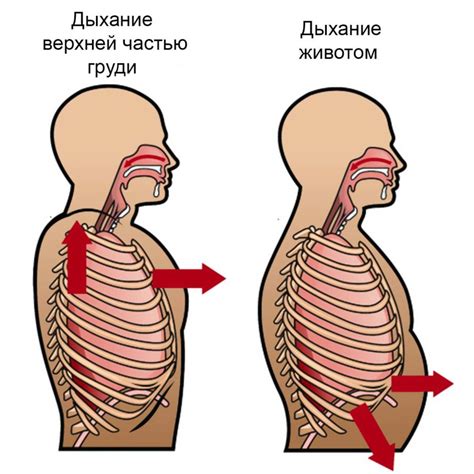 Поддерживайте правильное дыхание