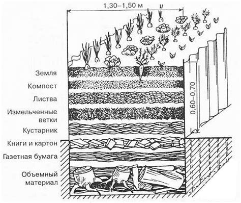 Подробный план формирования и наполнения грядки для компостной ямы