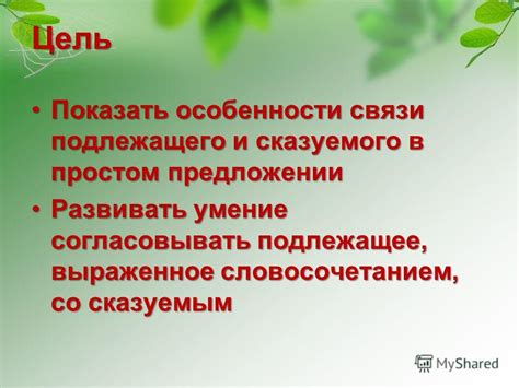 Позиция подлежащего в предложении: особенности и вариации