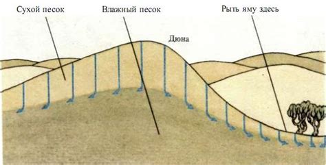 Поиск масклара в пустыне Бладстоун