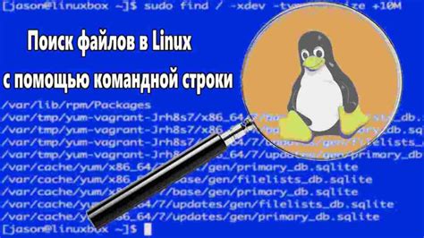 Поиск файлов PPD с помощью командной строки в операционной системе Linux