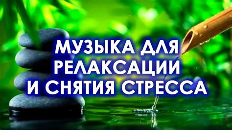 Поиск эффективных стратегий релаксации для сокращения воздействия стресса на организм