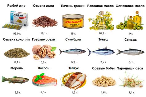 Полезное содержание Омега 3 в семечках подсолнечника: внимание на истинные аспекты