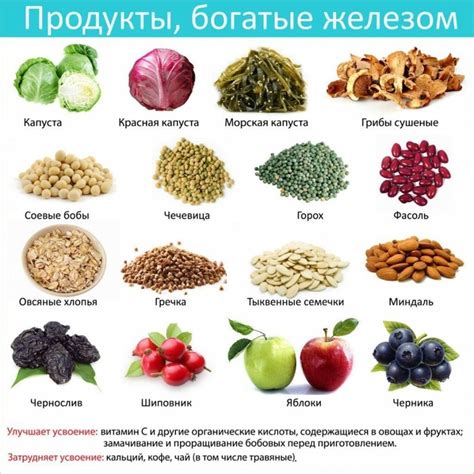 Полезные продукты для повышения уровня гемоглобина в организме