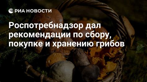 Полезные рекомендации по выбору и хранению приправленных грибов