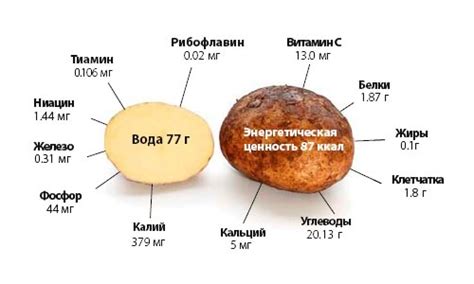 Полезные свойства внешнего слоя картофеля