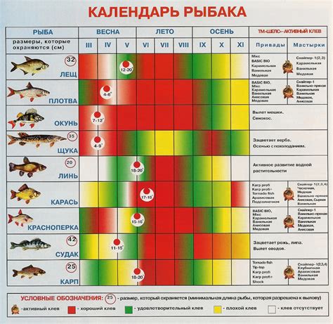 Полнота наблюдения за активностью рыб в период темного времени суток