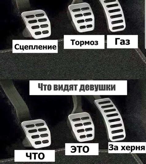 Положение и размещение идентификационных элементов на автомобиле марки ГАЗ как требование действующего законодательства