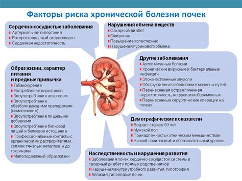 Положительное воздействие на здоровье почек