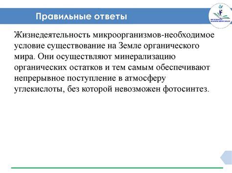 Положительные и отрицательные стороны использования пластиковой упаковки при хранении квашеной капусты