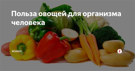 Польза грилевых овощей для организма