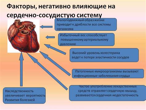 Польза интервальных тренировок и их воздействие на сердце и кровеносные сосуды