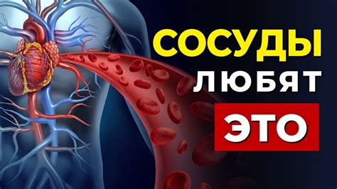 Польза огненного ранета для сердечно-сосудистой системы