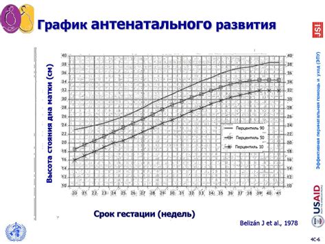 Польза определения гестационного возраста для беременных женщин