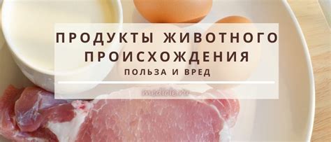 Польза продуктов животного происхождения для здоровья