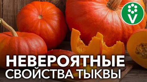 Польза свежей тыквы для красоты и здоровья