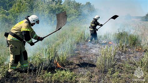 Пользуйтесь благами природы