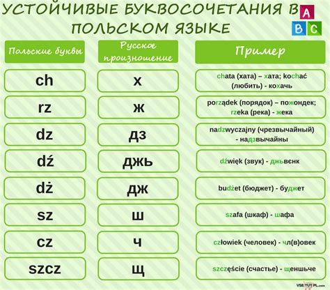 Польский язык и формирование национальной самобытности