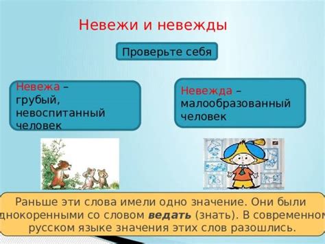 Понимание невежды и невежи: сходства и отличия