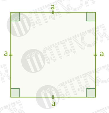 Понятие квадрата и его основные характеристики