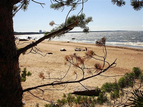 Популярные места для рыбалки на берегах Финского залива