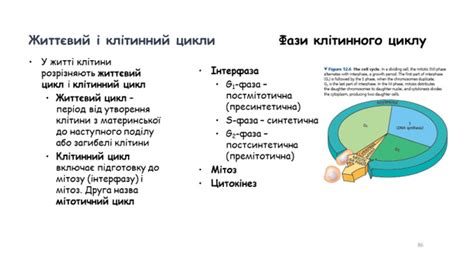 Порушення циклу доби та нічі