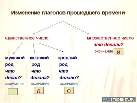 Порядок образования прошедшего времени в глаголах: основные правила и особенности